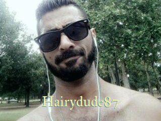 Hairydude87