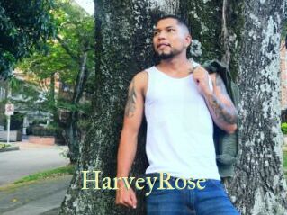 HarveyRose Cube Lille