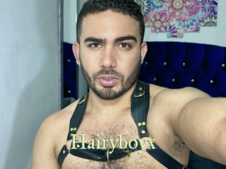 Hairyboyx