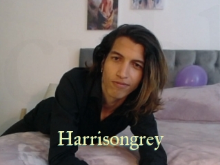 Harrisongrey