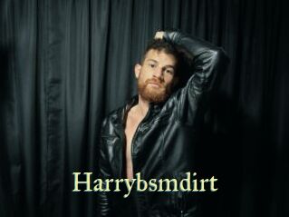 Harrybsmdirt