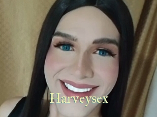 harveysex Cube Lille