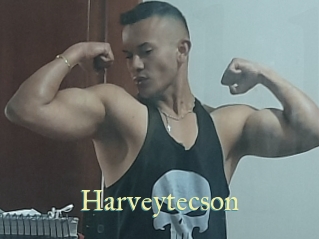 Harveytecson