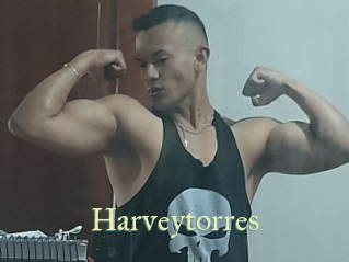 Harveytorres