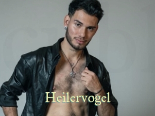Heilervogel