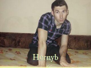 Hornyb