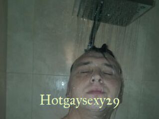 Hotgaysexy29