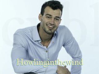 Howlinginthewind