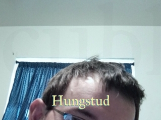 Hungstud