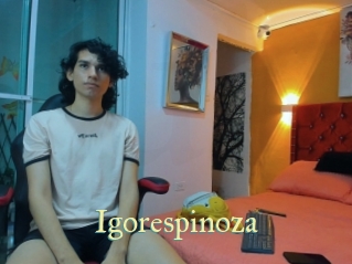 Igorespinoza
