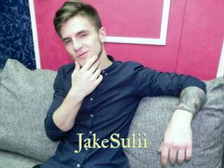 JakeSulii