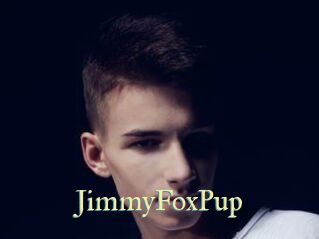 JimmyFoxPup Cube Lille