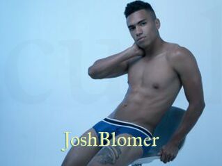 JoshBlomer