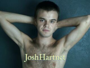 JoshHartnet Cube Lille