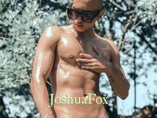 JoshuaFox