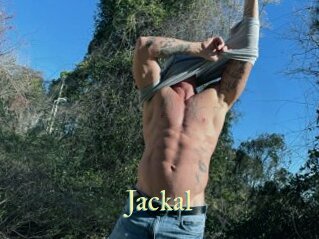 Jackal