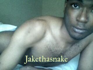 Jake_tha_snake