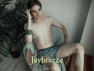 Jaybreeze