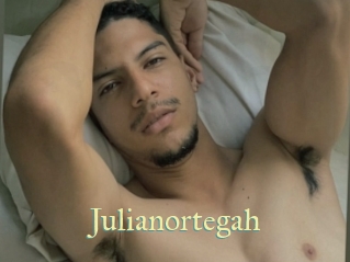 Julianortegah