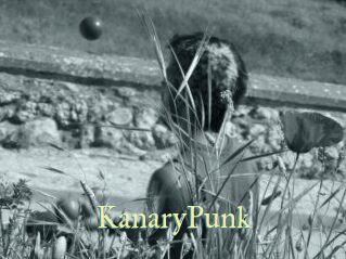KanaryPunk