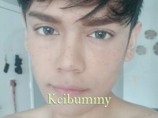 Keibummy