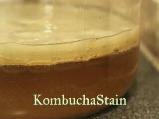 KombuchaStain