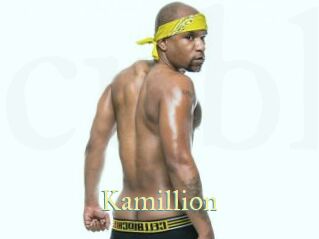 Kamillion