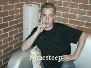 Kanesteep