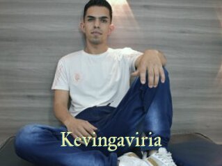 Kevingaviria