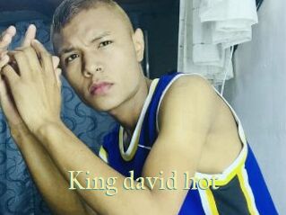 King_david_hot