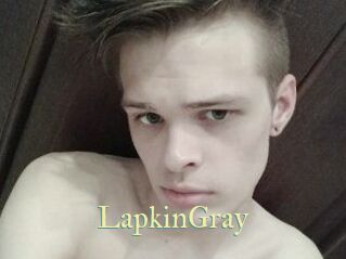 LapkinGray