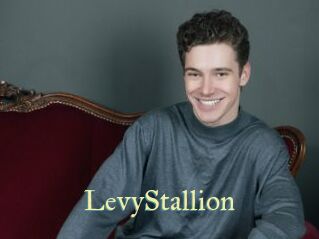 LevyStallion