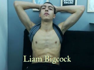 Liam_Bigcock