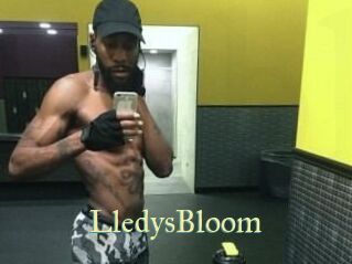 Lledys_Bloom