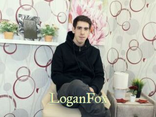 LoganFox Cube Lille