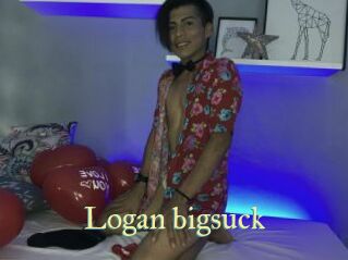 Logan_bigsuck Cube Lille