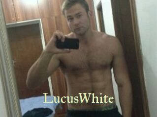 LucusWhite Cube Lille