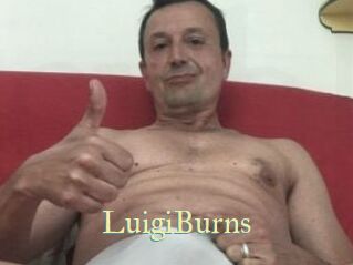 LuigiBurns