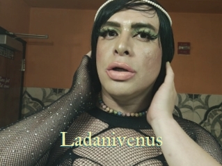 Ladanivenus