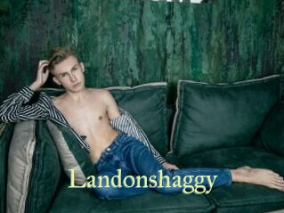 Landonshaggy