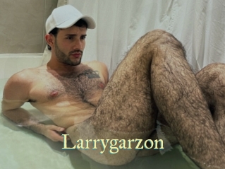 larrygarzon Cube Lille