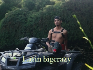 Latin_bigcrazy