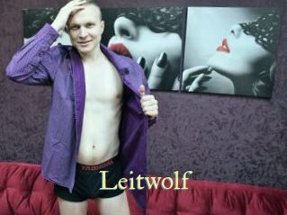 Leitwolf
