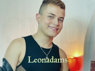 leonadams Cube Lille