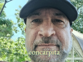 Leoncarpita
