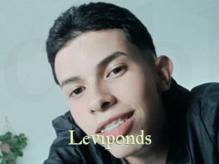 leviponds Cube Lille