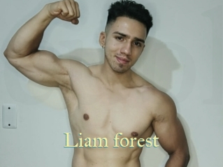 Liam_forest