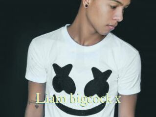 Liam_bigcock_x