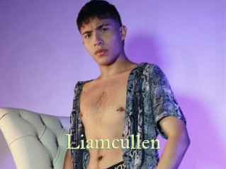 Liamcullen