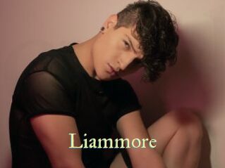 liammore Cube Lille